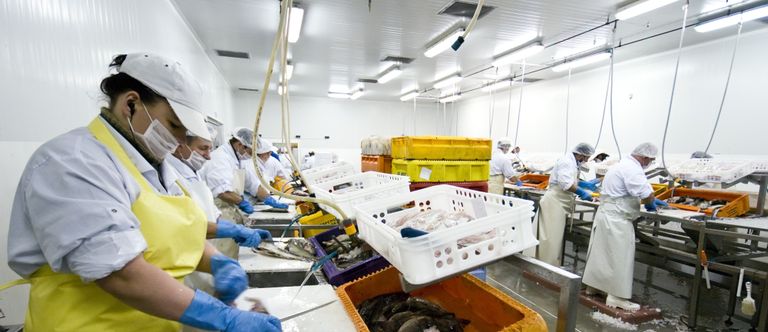 Polarcoat Lebensmittelproduktion Kühlhaus